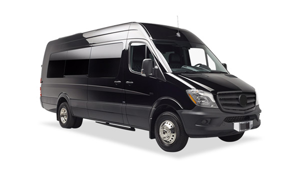limo and wine tours